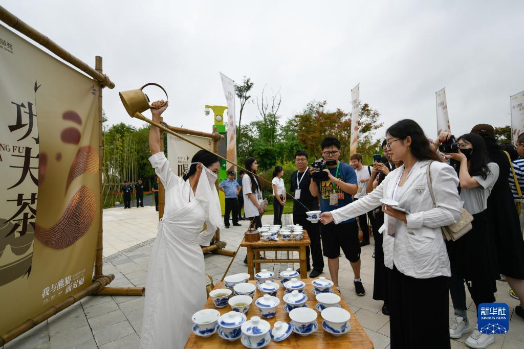大赢家股票软件下载